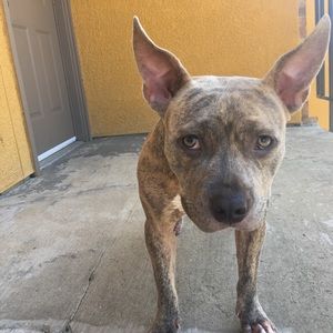 Meet your Posher, Jared